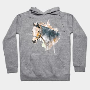 Watercolor Portrait - Brown Horse Head Hoodie